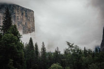 thick clouds over rock cliffs and forest 