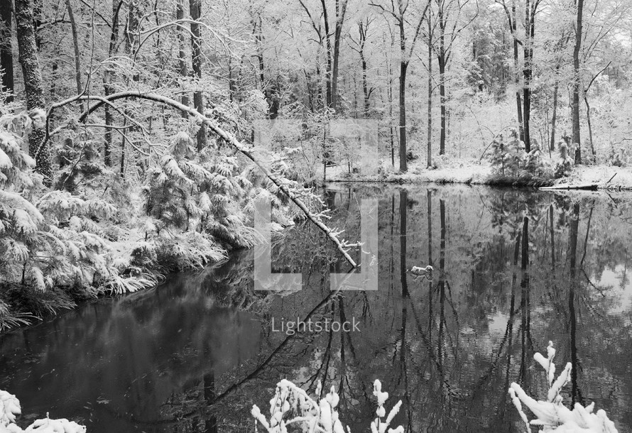 winter scene around a lake 