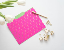 clips, file folder, tulips, and pencil 