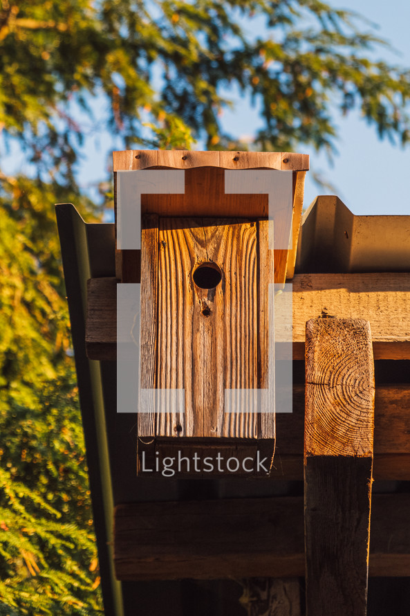 wooden birdhouse 