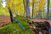 knife and watch in a forest 