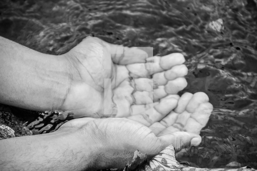 hands in clean water