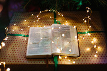 Bible under a Christmas tree