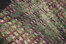 field carpet with natural field, Geometric texture with herbs