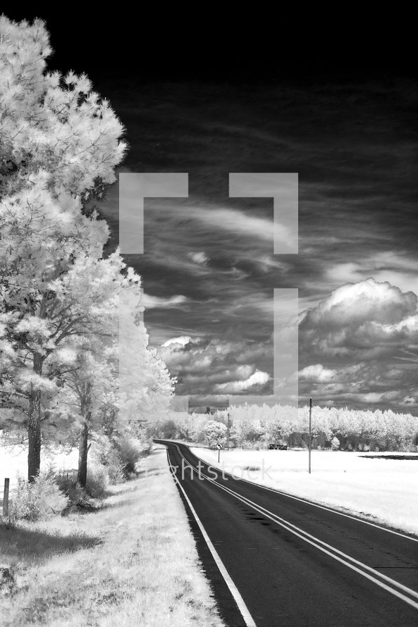 Country road photographed with an infrared camera