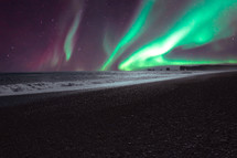 aurora borealis over a shore 