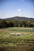 Rural fields in the fall