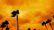 silhouette of palm trees against an orange sky at sunset just before Dawn showing the end to a tropical storm and windy conditions after a storm. 