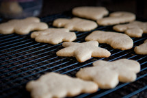 baking Christmas cookies 