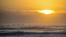 pelicans flying over the ocean 