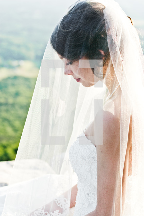Bride under a veil 