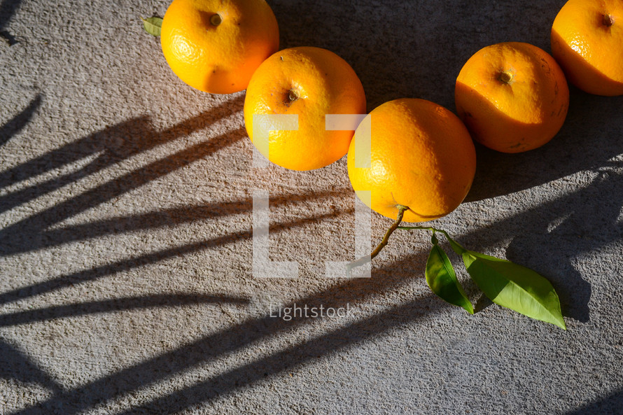 grapefruit 