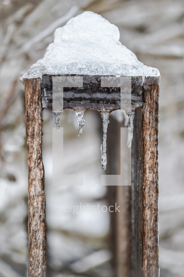 ice on a fence (vertical)