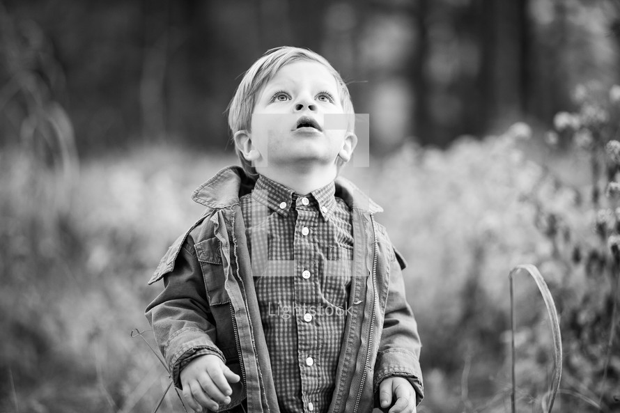 a toddler boy standing outdoors in a jacket looking up