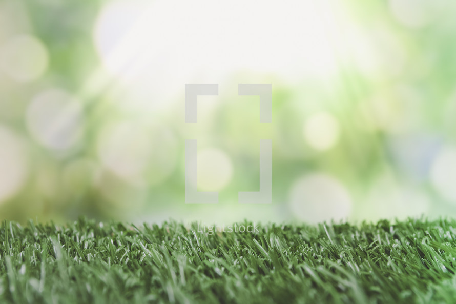 green grass and bokeh background 
