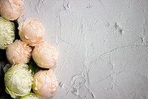 flowers on a textured white background 