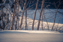 deep snow bank with trees in background