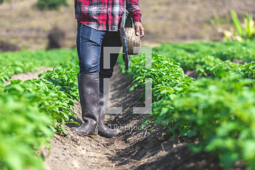 a farmer standing in a field 