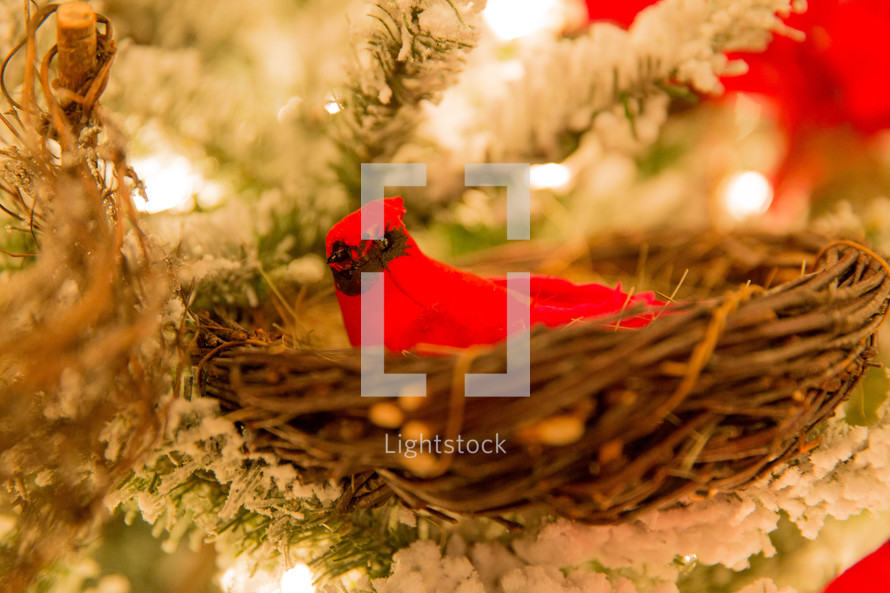 Cardinal in a nest ornament for Christmas 