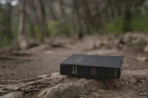 Holy Bible on a rock 
