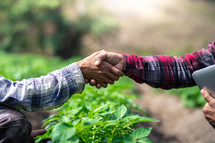 farmers shaking hands in a field 