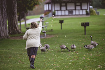 woman feeding geese 