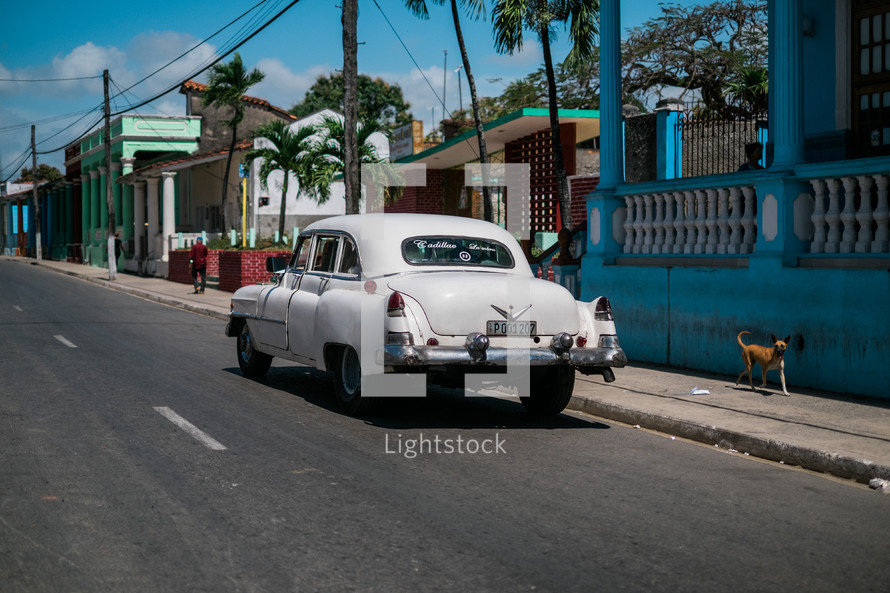 vintage car on Havana streets 