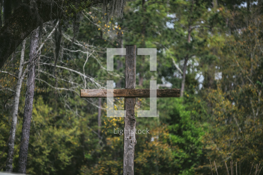 A wooden cross among trees.