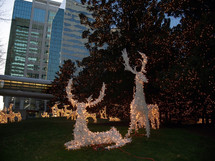 A group of Christmas Deer Light up the downtown skyline in front of businesses and large glass buildings at Christmas time.