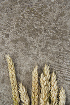wheat on concrete background