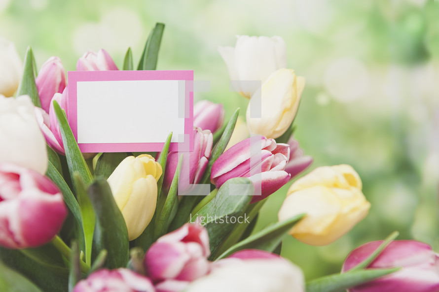 blank gift tag on a bouquet of tulips