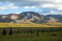 Alaskan mountain range landscape near trees with blue sky and clouds