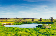 amazing Dehesa de Extremadura outdoors, grassfields, lagoons, oaks in the farmland fields of Spain countryside