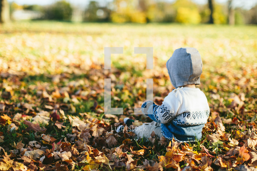 toddler boy playing in fall leaves