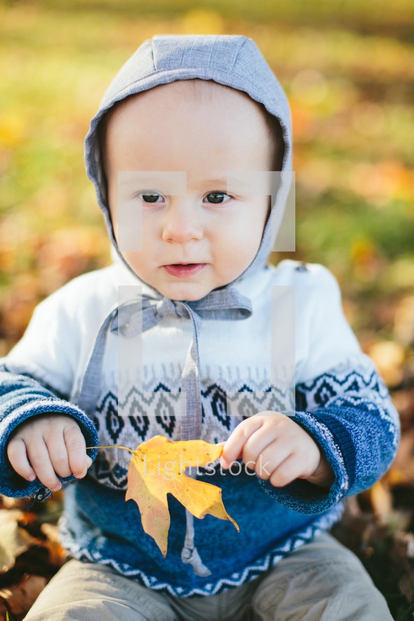 toddler boy playing in fall leaves 