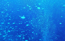 under water blue background 