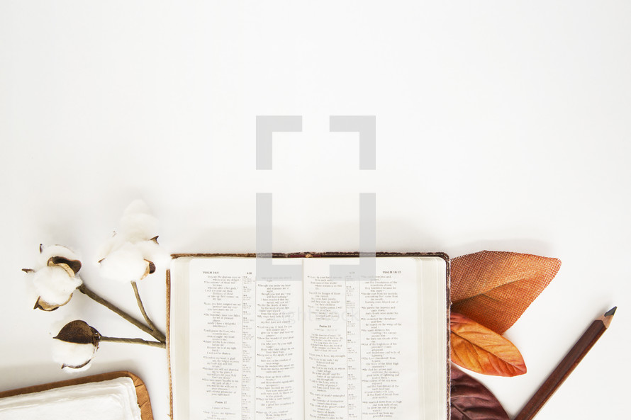 fall scene with open Bible 