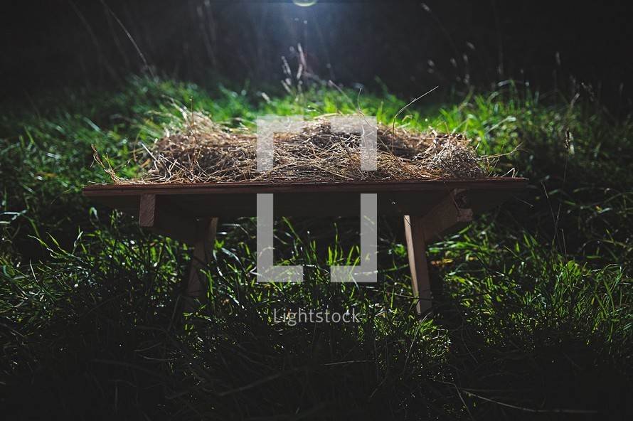 hay in a manger in grass 
