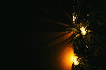 garland and Christmas lights