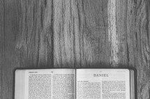 Bible opened to Daniel 