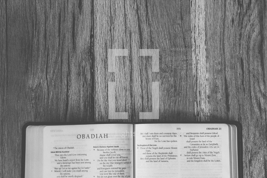 Bible opened to Obadiah