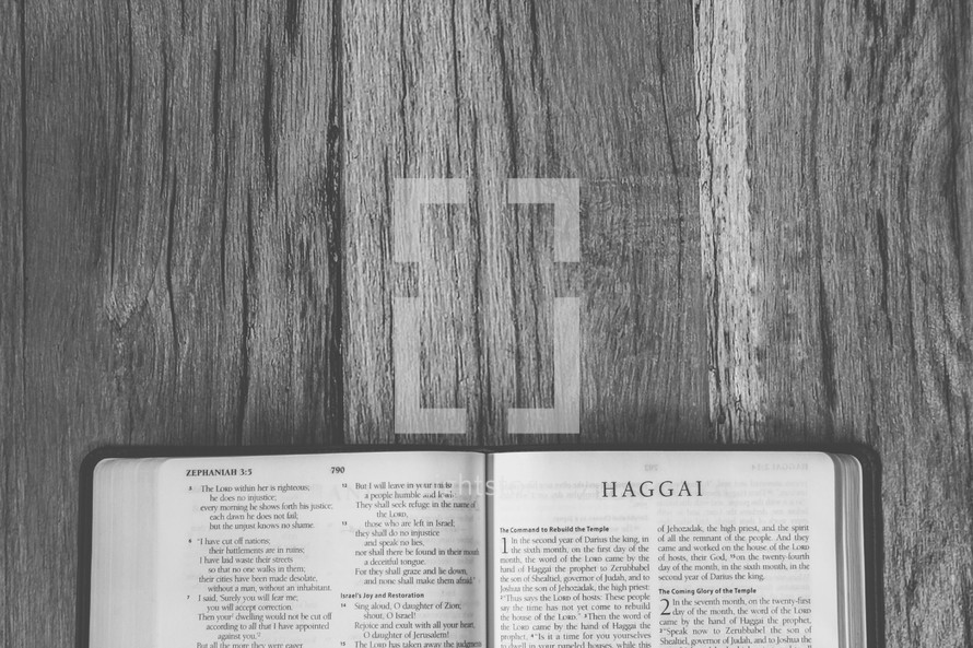 Bible opened to Haggai 