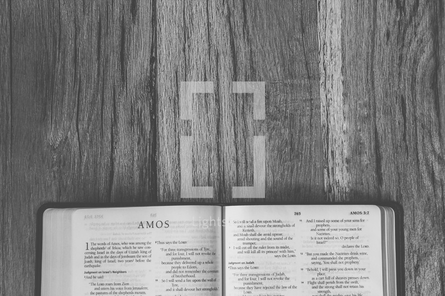 Bible opened to Amos