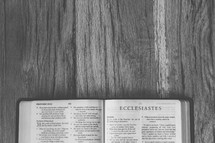 Bible opened to Ecclesiastes 