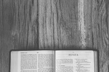 Bible opened to Hosea 