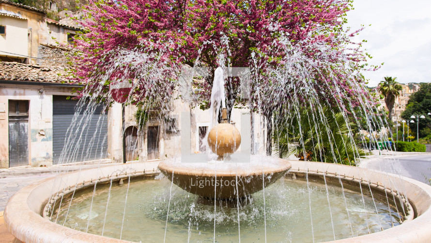 Ornament fountain with pink flowers on the tree in Ragusa city Sicily