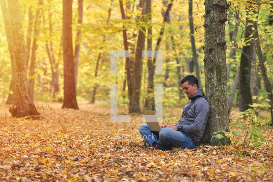 man with laptop in forest, autumn colors, sunset warm light