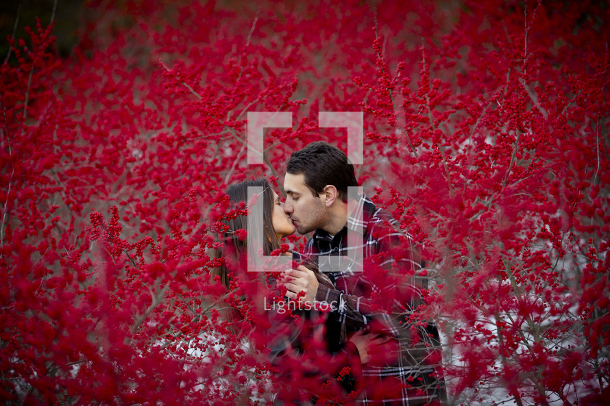 Couple kissing behind red flower blossoms.