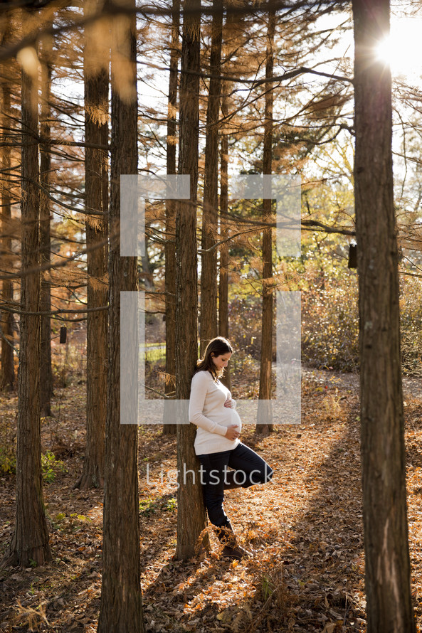 woman leaning against a tree with her hands on her pregnant belly