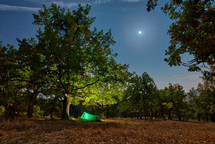 Tent camping at night in the forest under the clear light of the moon